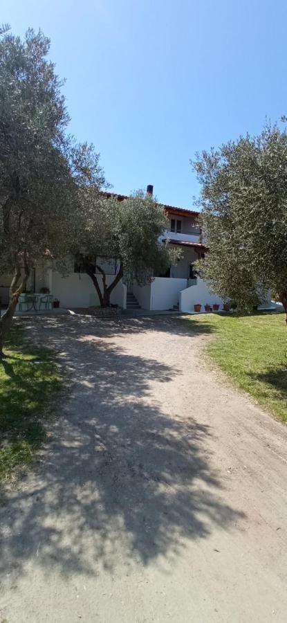 House Eugenia Sarti Apartment Exterior photo